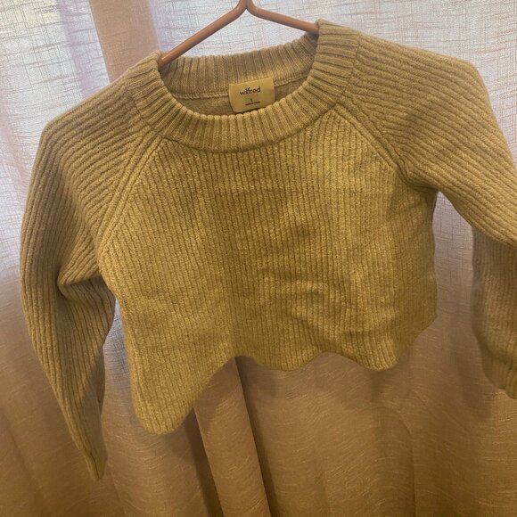 Wilfred Scalloped Cropped turtle neck - Picture 1 of 2